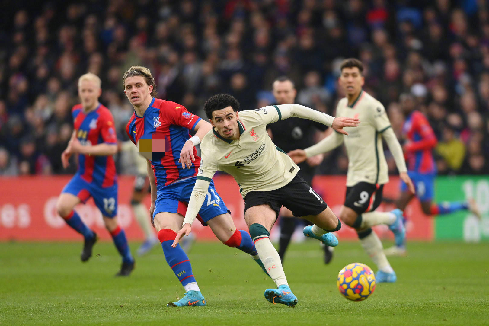 球迷的激烈 球迷的激烈